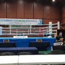 화랑복싱체육관 이미지