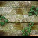 인재세탁소 이미지