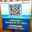 평화횟집 | 목포맛집 현지인추천 목포평화광장횟집 고래회수산 선 코스후기