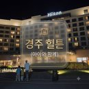 🐻​​[경주 숙소 추천] 경주 힐튼 호텔 디럭스 투 킹 베드, 아이와 2박 3일 솔직후기