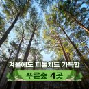 푸른숲 이미지