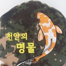 김0철 이미지