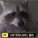 진미평양냉면