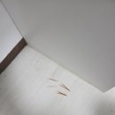 강송로225번길 이미지