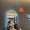 노블미용실 | 남양주 아기 미용실 “코코노블” 주니어 파마 내돈내산 후기