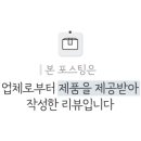 핫독애견백화점 이미지