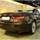 레인보우커스텀 이미지