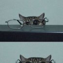 중앙노모당 | 슬립노모어라는 극을 다섯번이나 보고오다니(1/?)