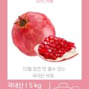 엘림샘물식품