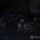 해군2함대사령부(5특전대대)