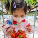 별마을농장 이미지