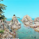 장호어촌체험마을 이미지