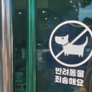 세라젬 울산옥동점 | 울산 안마의자 카페 마스터 V9 파우제 M6 무료체험 세라젬 옥동직영점