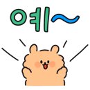 제주신물회 이미지