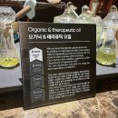 김병원 | 세부 신속항원 편리한 세부 김병원 최신 이용후기- 가격/위치/시간/카톡