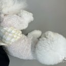 멍텐션 이미지