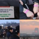 선유교 Daum카페