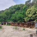 김영구농장 이미지