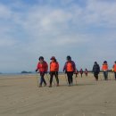 노르딕워킹 이미지