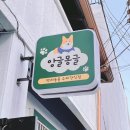 앙글몽글 이미지