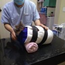 화신종합동물병원 이미지