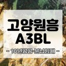 도래울모바일 이미지