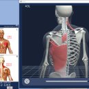 ROYFIT(로이핏) 이미지