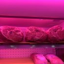 암소원 식당 이미지