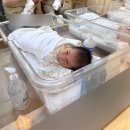 (주) 레피리움네이쳐 산후조리원 | 산후조리원에서의 하루 / 서대문 레피리움 내돈내산 현실주의