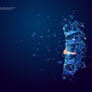 스파인바이오메드 이미지