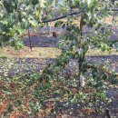 곡성-224 이미지