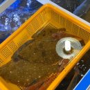 가천민박 이미지