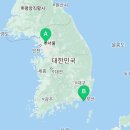 국제수산물도매시장 시장회관동 네이버블로그