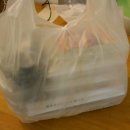 이가박가 이미지