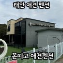 꼰띠고애견펜션 이미지