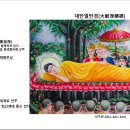 마니보 이미지