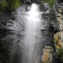 진안고원치유의숲 이미지