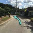 우금리농장 네이버블로그
