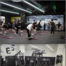 힙스터들의 성지, 위례헬스장 무제한 IPT 후기!
