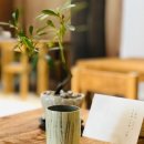 청파2농장 | 오늘의 커피 - 251118