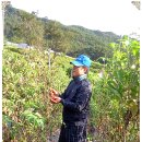 간동중학교 이미지