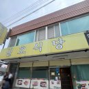 성시경속초맛집 바로 옆식당 오리주물럭쌈밥 일호식당 존맛후기