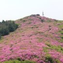 봉화산 이미지