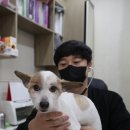 누리봄동물병원 이미지