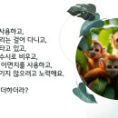 꿈나무환경교실 이미지