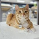 백자로 L 이미지