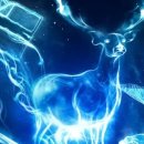 신비 스토어 몰 이미지