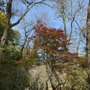 월명1길 이미지