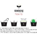 농업회사법인세경팜(주) 이미지