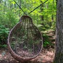 평창숲펜션 이미지